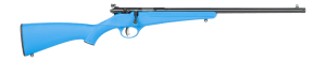 Savage Arms  Rascal F-SR 22 LR 1rd 16.13" Matte Black Single Shot Threaded Barrel  Blue Synthetic Stock  Right Hand