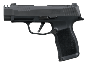 Sig Sauer 365XL380COMP10 P365XL 380 ACP 10+1 3.10" Black Ported Barrel  Black Nitron Stainless Steel Optic Cut/Ported/Serrated Slide  Black Stainless Steel Frame w/Picatinny Rail  Textured Grip  SIG-LOC Compact Footprint