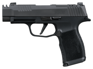 Sig Sauer 365XL380COMP P365XL  380 ACP 12+1 3.10" Black Ported Barrel  Black Nitron Stainless Steel Optic Cut/Ported/Serrated Slide  Black Stainless Steel Frame w/Picatinny Rail  Textured Grip  SIG-LOC Compact Footprint