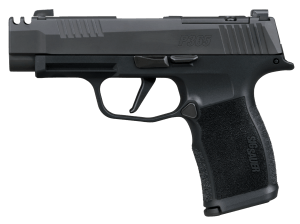 Sig Sauer 365XL380COMPMS P365XL  380 ACP 12+1 3.10" Black Ported Barrel  Black Nitron Stainless Steel Optic Cut/Ported/Serrated Slide  Black Stainless Steel Frame w/Picatinny Rail  Textured Grip  SIG-LOC Compact Footprint  Manual Safety