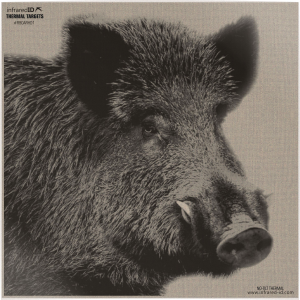 INFRARED-ID RBOARHD1 THERM BOAR HEAD TARGT INFRARED-ID RBOARHD1 THERM BOAR HEAD TARGT