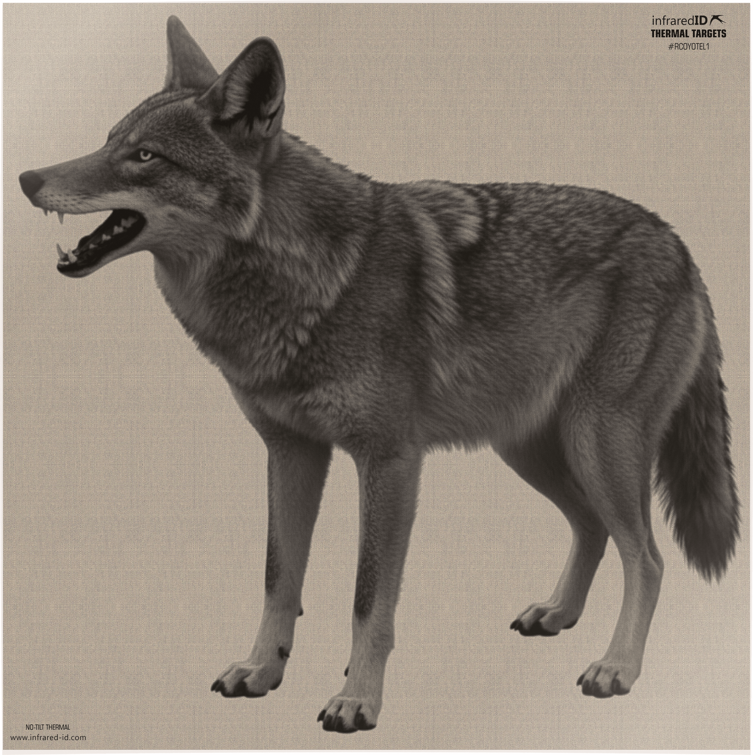 INFRARED-ID RCOYOTEL1 THERM COY TARGT