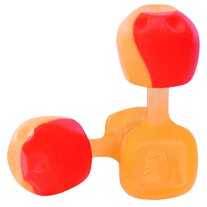 Howard Leight R02236 TrustFit Pod Earplugs Foam 28 dB In The Ear Orange Adult 5 Pair