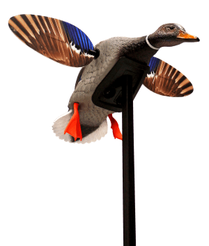 Mojo Outdoors HW24703P Elite Series Mini Mallard Drake Species Multi Color Plastic