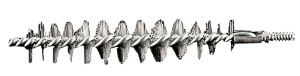 RCBS 9328 Case Neck Brush Medium Multi-Caliber 1 Nylon