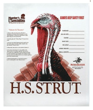 HS Strut 06850 Turkey Turkey Paper Hanging Shotgun 11" x 11" Multi-Color 12 PK