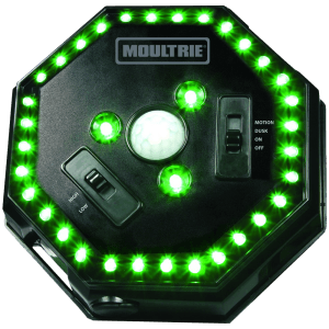 Moultrie MFA12651 Feeder Hog Light Black Green Filter 30 ft Range Moultrie MFA12651 Feeder Hog Light Black Green Filter 30 ft Range